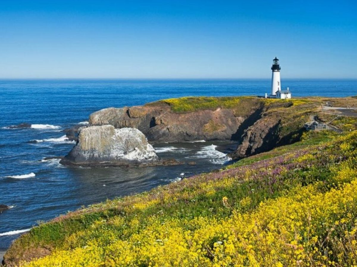 7 советов для получения кредитной карты вашей мечты 7 советов для получения кредитной карты вашей мечты