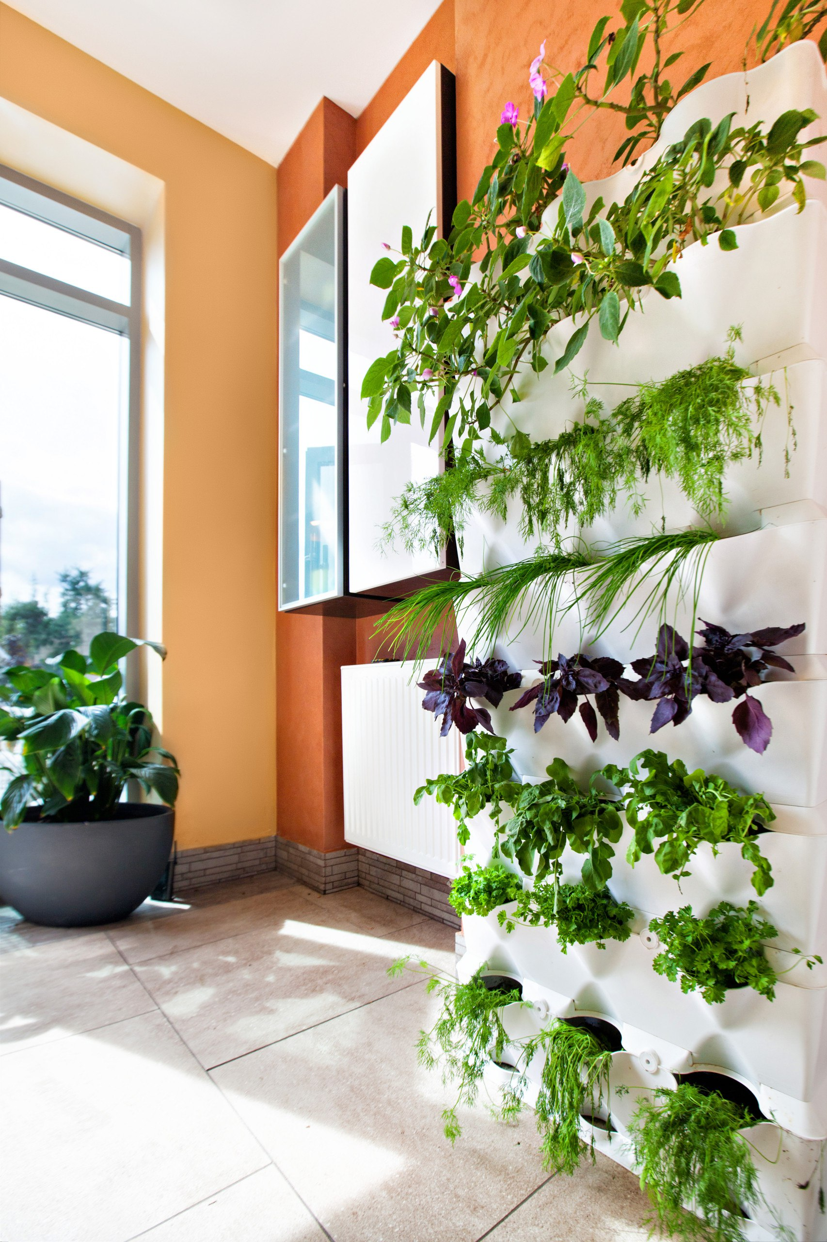 Финансовая грамотность: Умное управление кредитной картой без долгов Финансовая грамотность: Умное управление кредитной картой без долгов