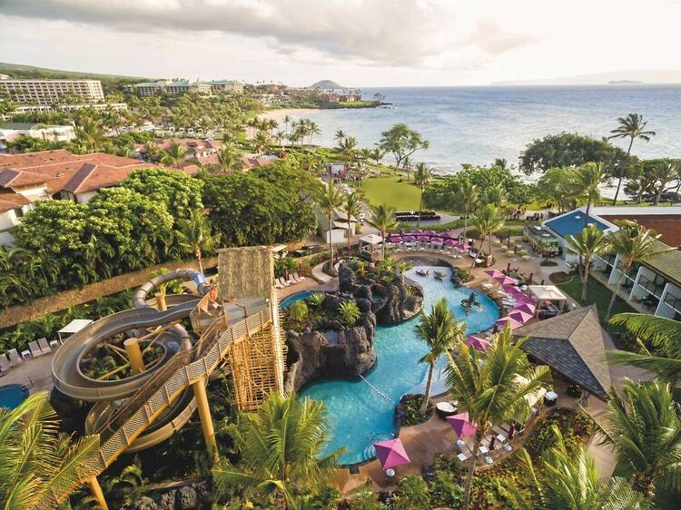 Как работают процентные ставки по кредитным картам Сбербанка в 2023 году?