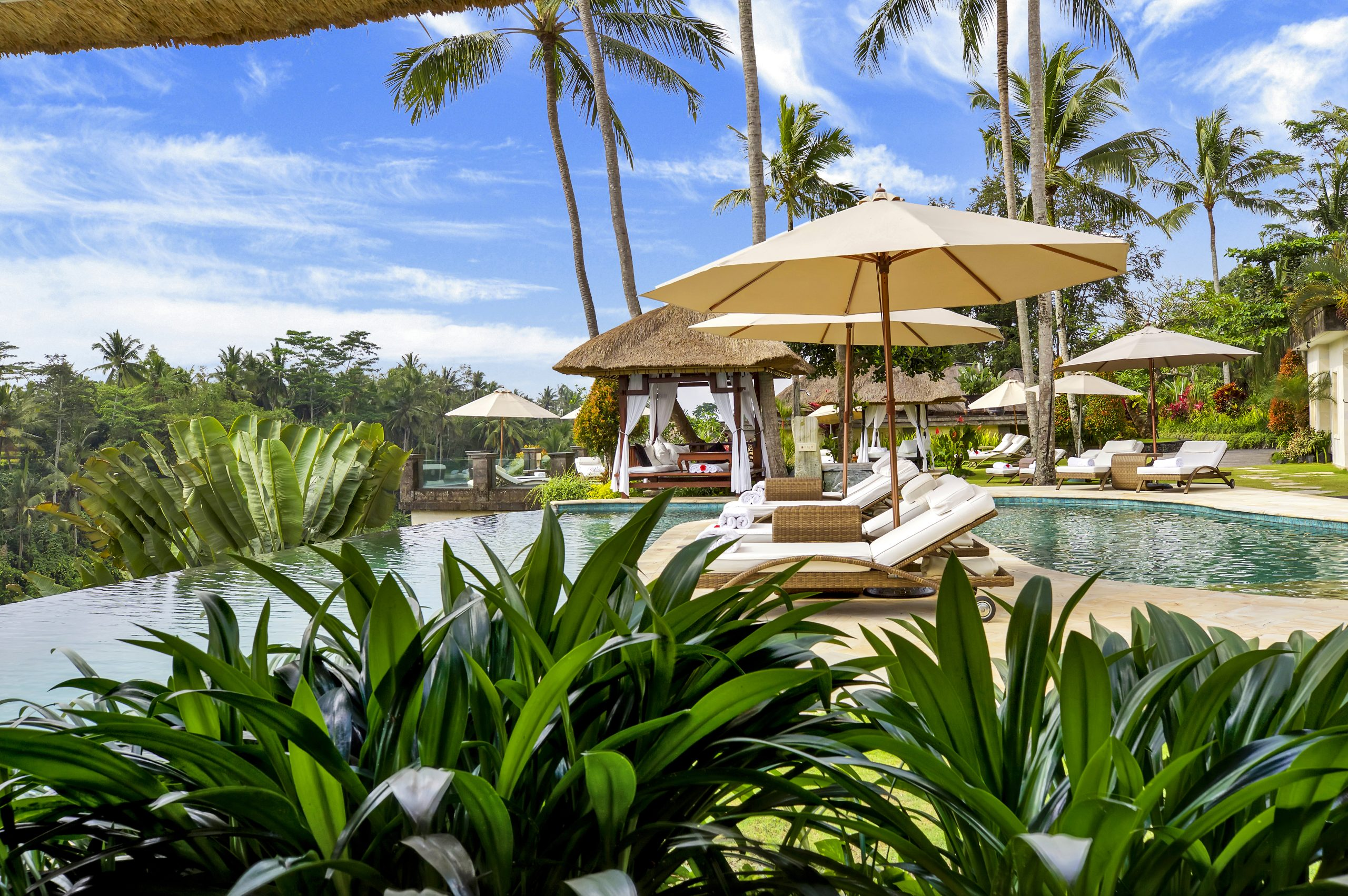 Кредитные и дебетовые карты: советы по выбору для повседневных покупок