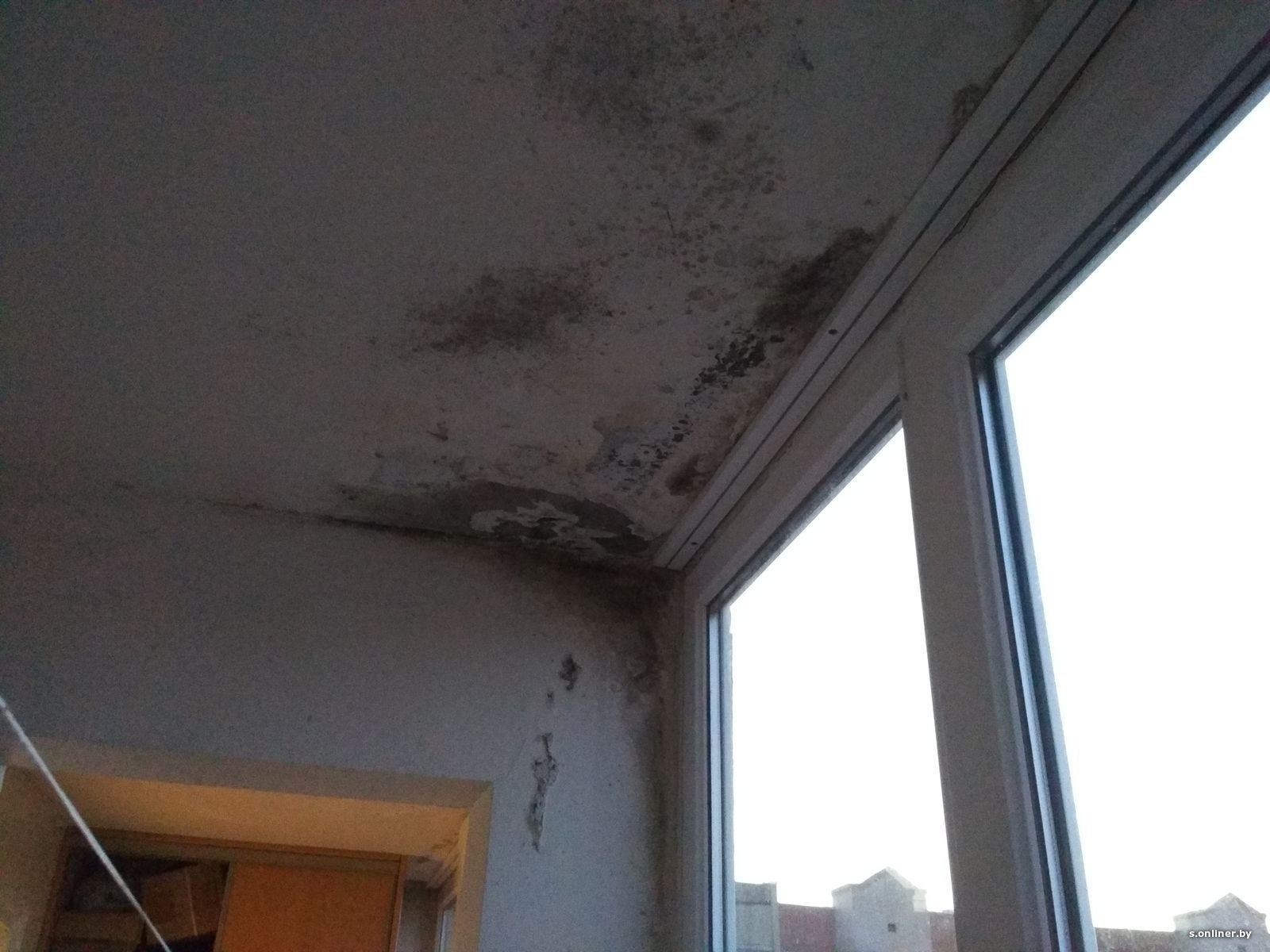 Ликвидация банка при банкротстве: особенности, этапы и правовые нюансы